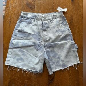 Pacsun Shorts